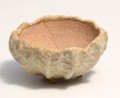 信樂燒 花器 | Shigaraki ware Flower Vase