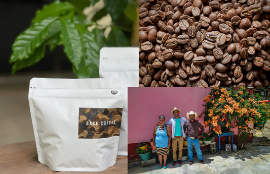 Single-origin Roasted Coffee Beans (Guatemala), 100 g net