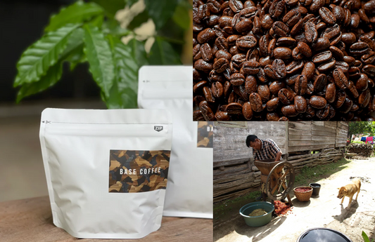 Single-origin Roasted Coffee Beans (Mandheling / Indonesia), 100 g net